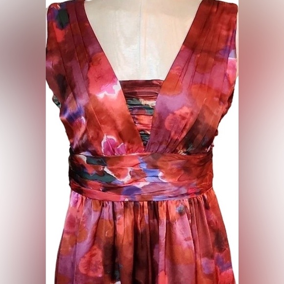 Banana Republic Floral Red Purple Green and Black Dress lined - Picture 5 of 8